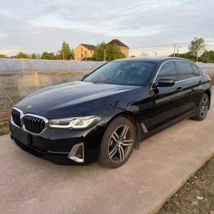 BMW 530Li 2.0T LUXURY