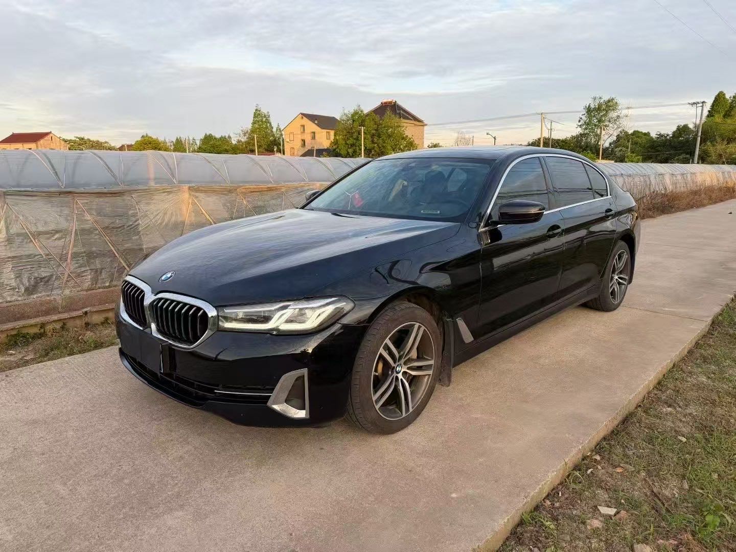 BMW 530Li 2.0T LUXURY